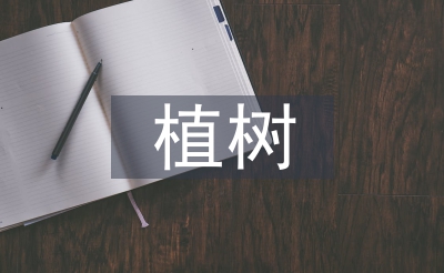 植树勾当总结
