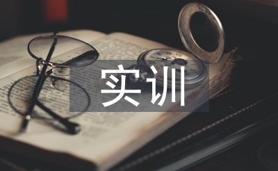 国际商业实训总结