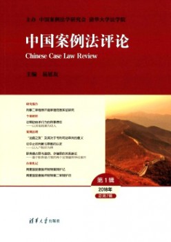 中国案例法批评杂志