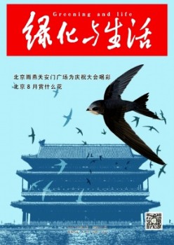 绿化与糊口杂志