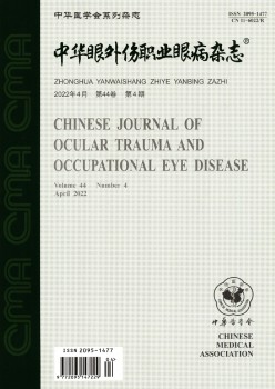 中华眼内伤职业眼病杂志