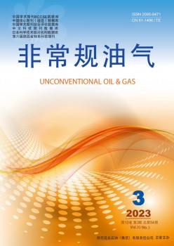 很是规油气杂志
