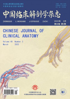中国临床剖解学杂志